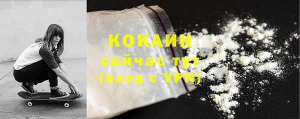 соль ск Алзамай