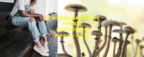 стаф Алексеевка