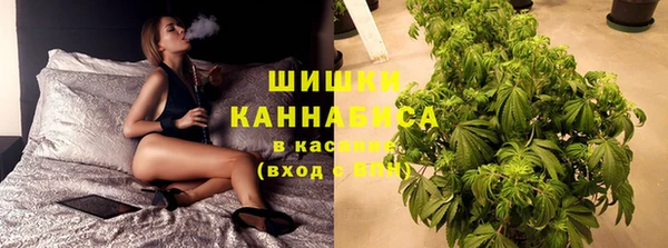 соль ск Алзамай